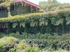-中国茶叶博物馆(双峰馆区)