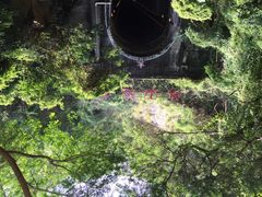 iphone_upload_pic-铁路文化公园