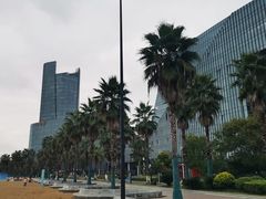 -金沙湖公园