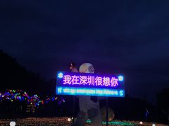 -海上田园
