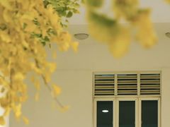 -四川大学(望江校区)