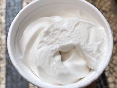 椰子雪糕-洪馨椰子