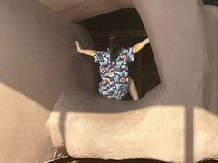 -兴芮温泉度假区