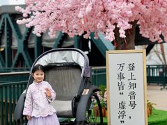 -武汉知音号