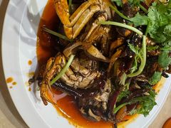 -杨氏青龙虾·羊蝎子(珠江路店)