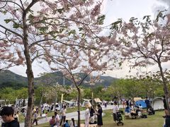 -白石龙音乐公园