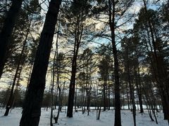 -北极村旅游风景区