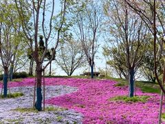 -南通洲际绿博园