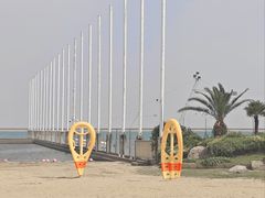 -碧海金沙