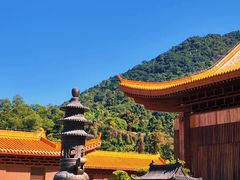 -深圳仙湖植物园