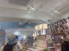 -猫的天空之城概念书店(束河店)