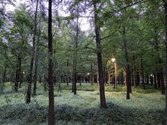 -上海山野camping·户外天幕烧烤·团建拓展营地