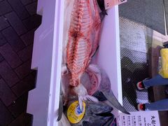 -大起水产回转寿司(道顿堀店)