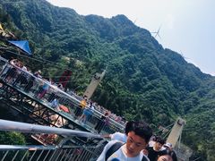 -梦幻奥陶纪景区