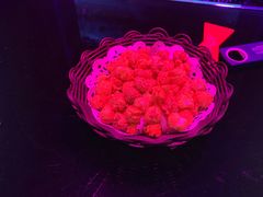 -INLOVE KTV(新天地店)