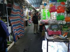 -万商花鸟市场