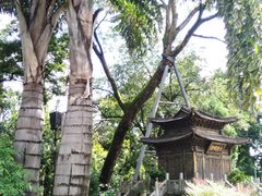-昆明市金殿名胜区