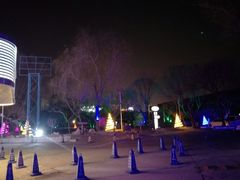 -枫花园汽车电影院(朝阳公园店)