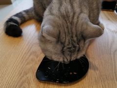 -平行世界·猫咖(首经贸店)