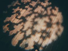 -暹罗海洋世界
