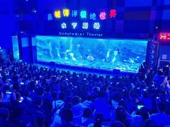 -泉城欧乐堡海洋极地世界
