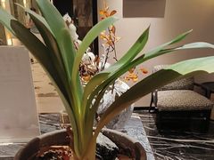 -万泊酒店(长沙五一广场国金中心店)