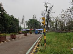 -白鹭湾湿地公园