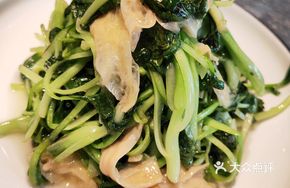 Fried Tofu Skin with Chicken Greens