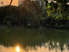 -广西壮族自治区药用植物园