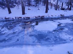 -白水寺森林公园