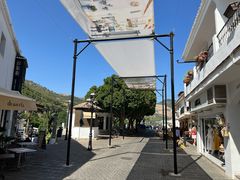 -米哈斯