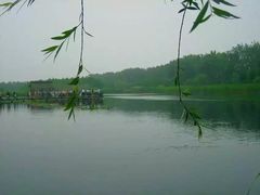 -溱湖国家湿地公园