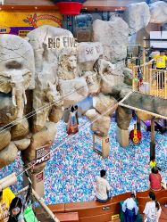 -卡通尼·Safari非洲探索乐园·生日会(金桥国际商业广场店)