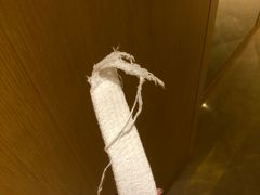 -苏州金鸡湖文博诺富特酒店