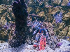 -海合安天津极地海洋公园