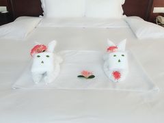 -三亚亚龙湾雅高铂尔曼别墅度假酒店