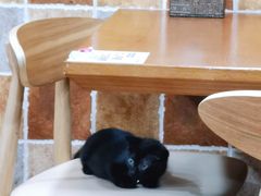 -怡妮新疆风味餐厅(东江湾路店)