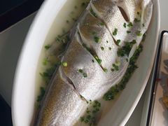 招牌清蒸钱塘江白条-柳莺湖上·湖景餐厅·江南菜(西湖店)