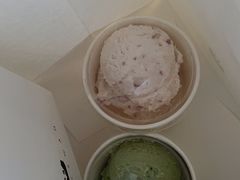 -BLACKSWAN黑天鹅(环球店)