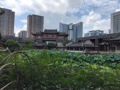 景点-龙潭水乡