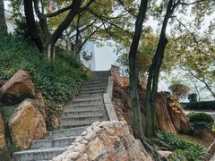 -青岛海滨风景区小鱼山