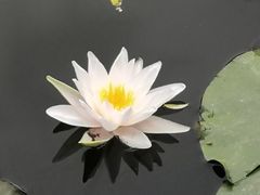 -长春公园(普阳街道)