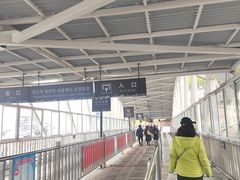 -武汉关码头(轮渡站)