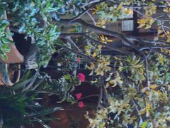 -晓寿司·精致料理(绿地店)