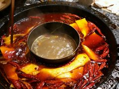 -蜀大侠火锅(建设路第五大道店)