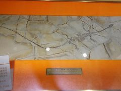 -中国第四纪冰川遗迹陈列馆