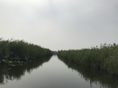 -白洋淀景区