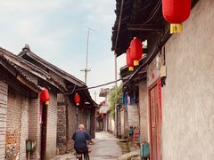 -桤木河湿地公园