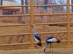 -武汉动物园