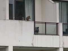 -苏州环秀晓筑养生度假村